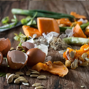 Entsorgung von Organischen Abfällen